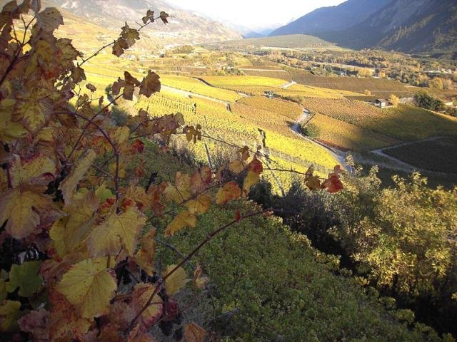 Automne en Valais